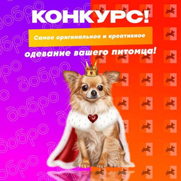 oh7qydbxewu.jpg oh7qydbxewu.jpg
