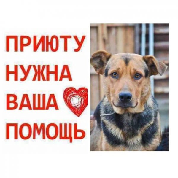 r9sfixctuotkpn9cavno-mnkua0mbanzqq-mmvr955mb28qefzibk-uy-ejdzflodydbwse7juwze8xqjskfx19c.jpg